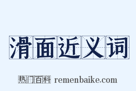 滑面近义词是什么意思的图片